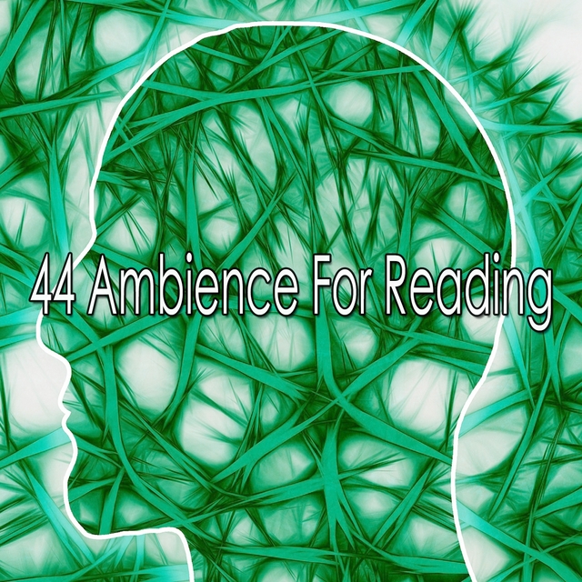 Couverture de 44 Ambience For Reading