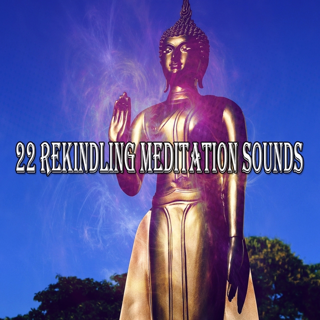 Couverture de 22 Rekindling Meditation Sounds