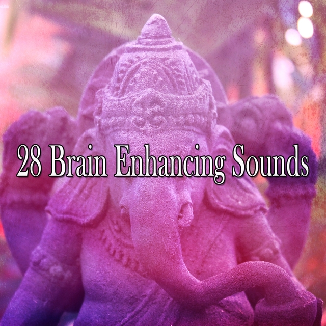 Couverture de 28 Brain Enhancing Sounds