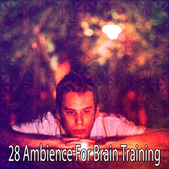 Couverture de 28 Ambience For Brain Training