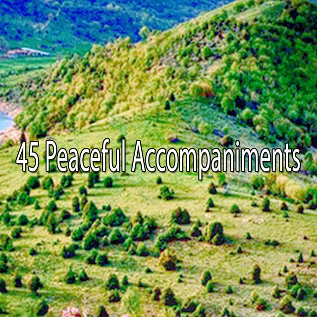 Couverture de 45 Peaceful Accompaniments