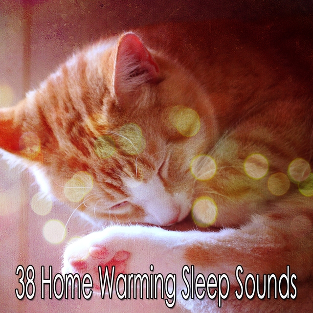 Couverture de 38 Home Warming Sleep Sounds