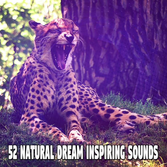 Couverture de 52 Natural Dream Inspiring Sounds