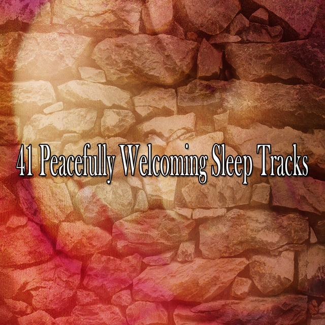 Couverture de 41 Peacefully Welcoming Sleep Tracks