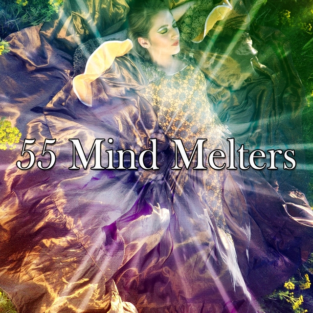 Couverture de 55 Mind Melters