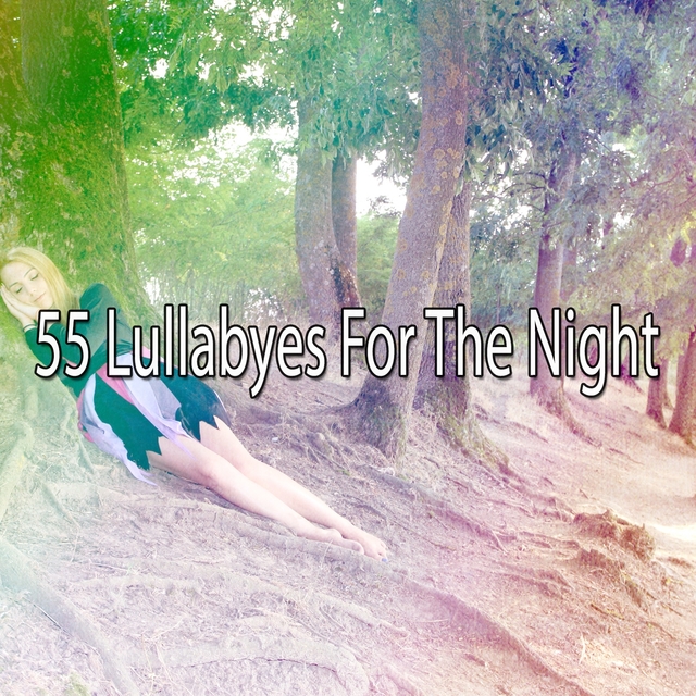 Couverture de 55 Lullabyes For The Night