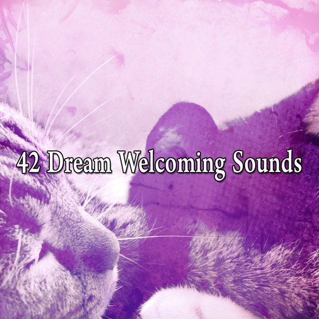 42 Dream Welcoming Sounds