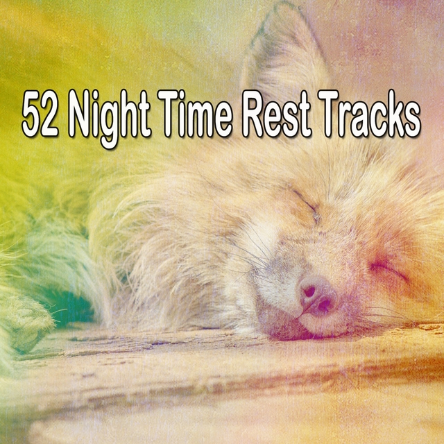 Couverture de 52 Night Time Rest Tracks