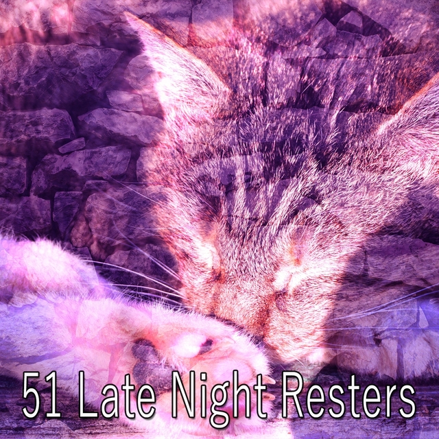 51 Late Night Resters