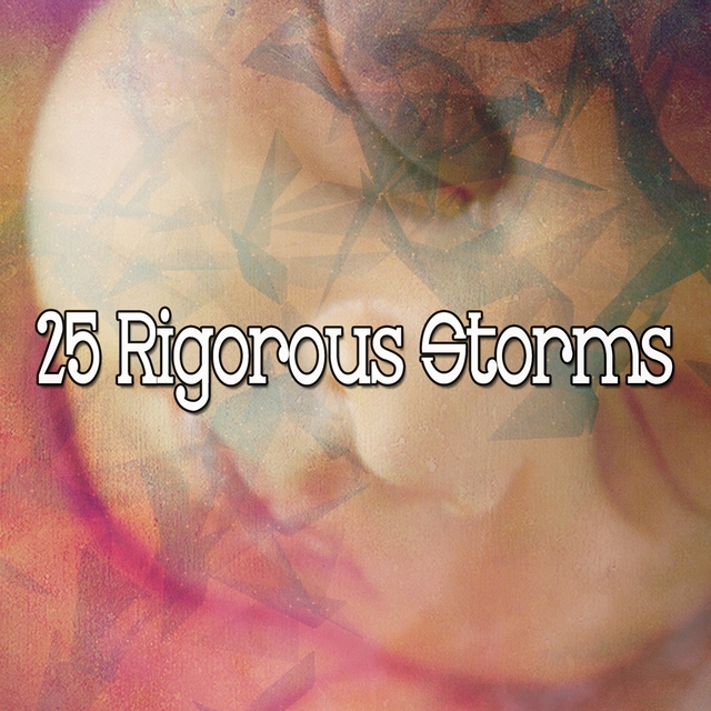 Couverture de 25 Rigorous Storms