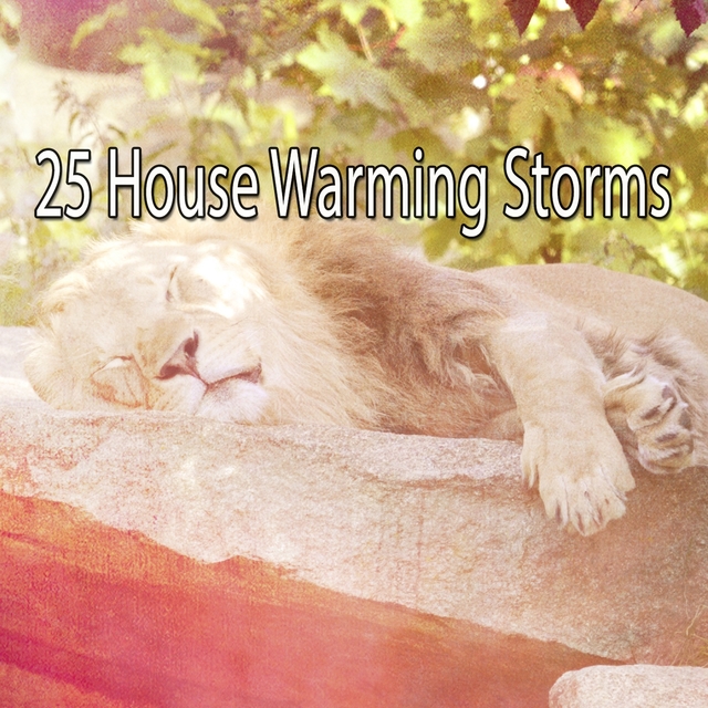 Couverture de 25 House Warming Storms