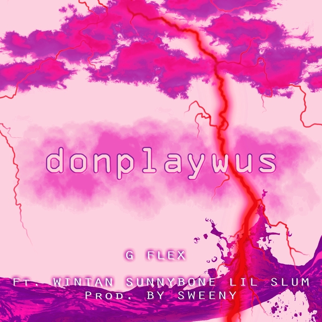 Couverture de Donplaywus