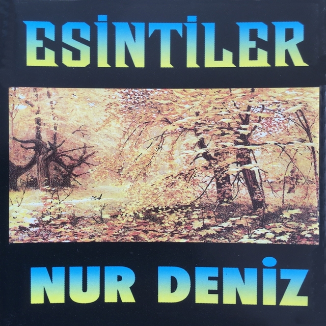 Couverture de Esintiler