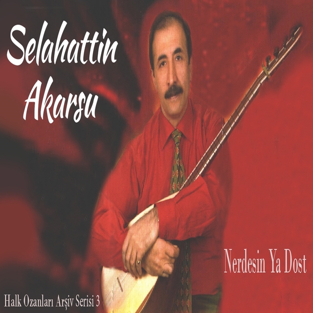 Couverture de Nerdesin Ya Dost