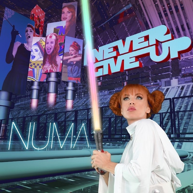 Couverture de Never Give Up