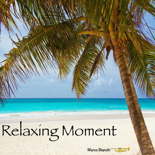 Couverture de Relaxing Moment