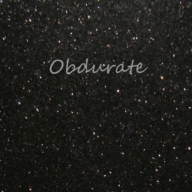 Couverture de Obdurate