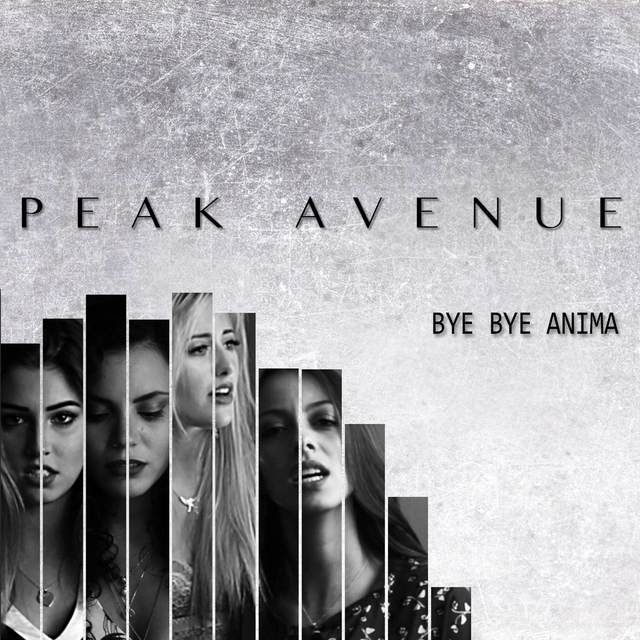 Couverture de Bye Bye Anima