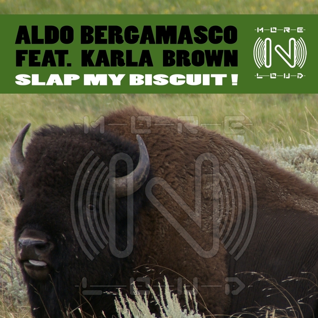 Couverture de Slap My Biscuit!