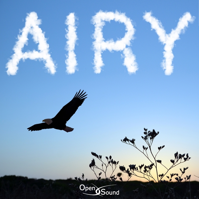 Couverture de Airy