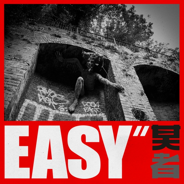 Couverture de Easy