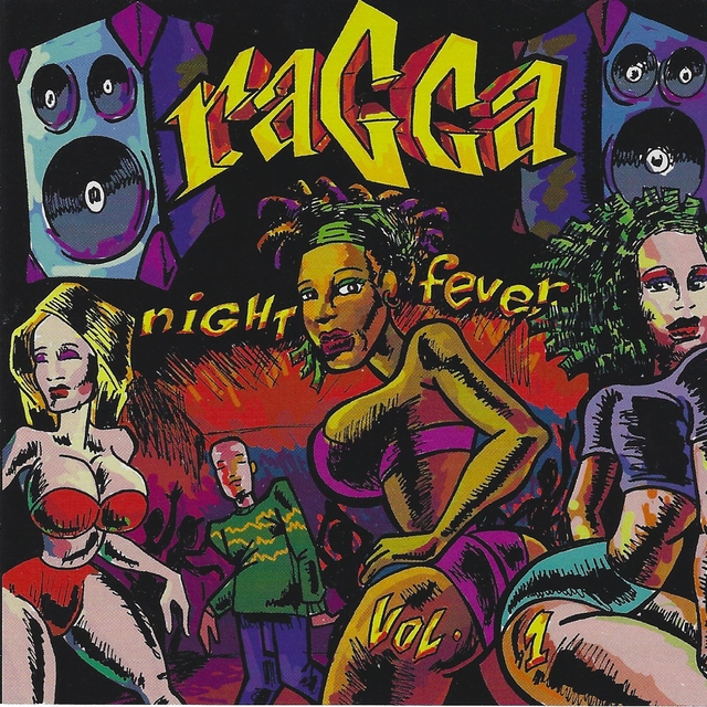 Couverture de Ragga Night Fever