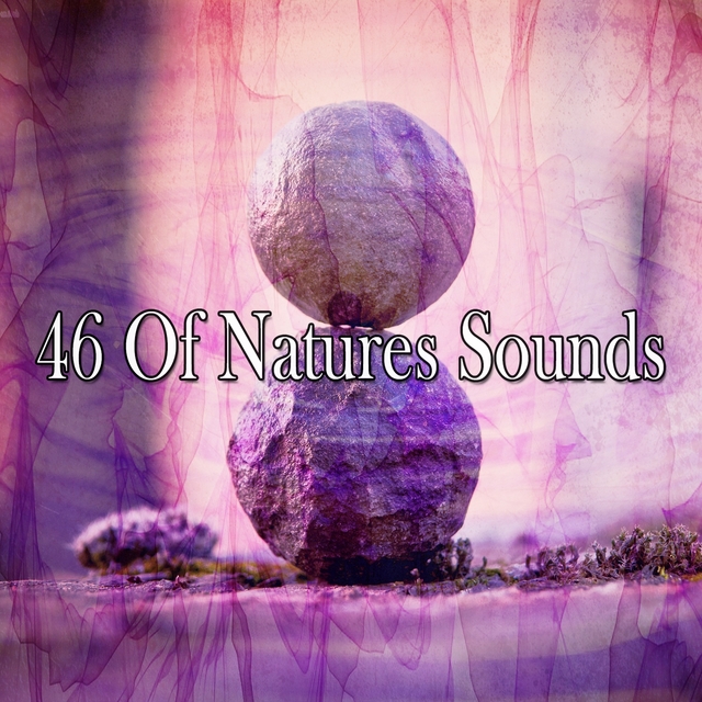 46 Of Natures Sounds