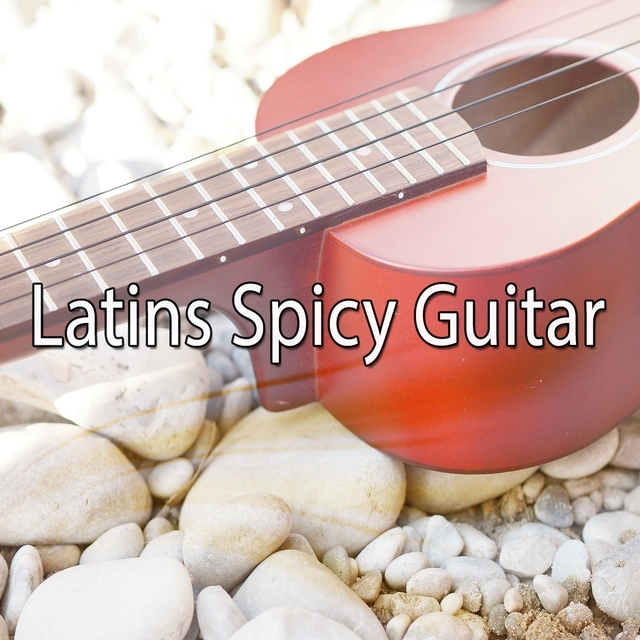 Latins Spicy Guitar