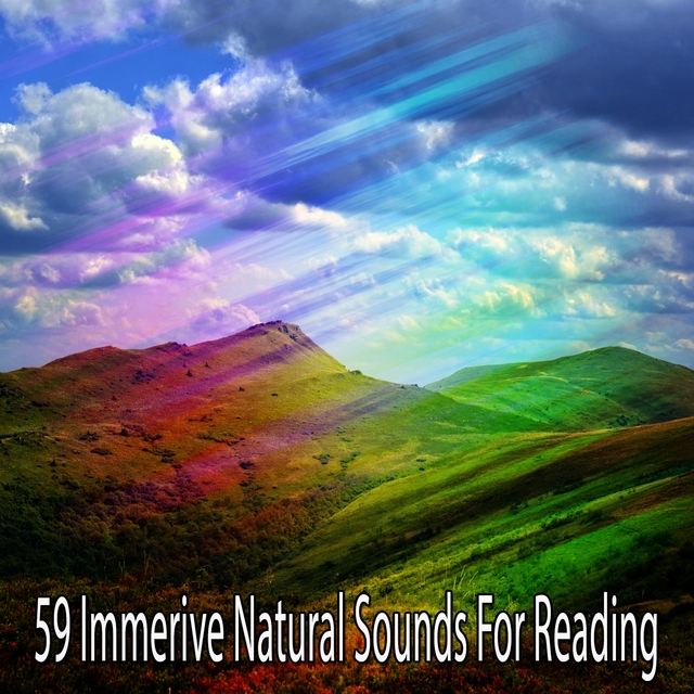 59 Immerive Natural Sounds For Reading