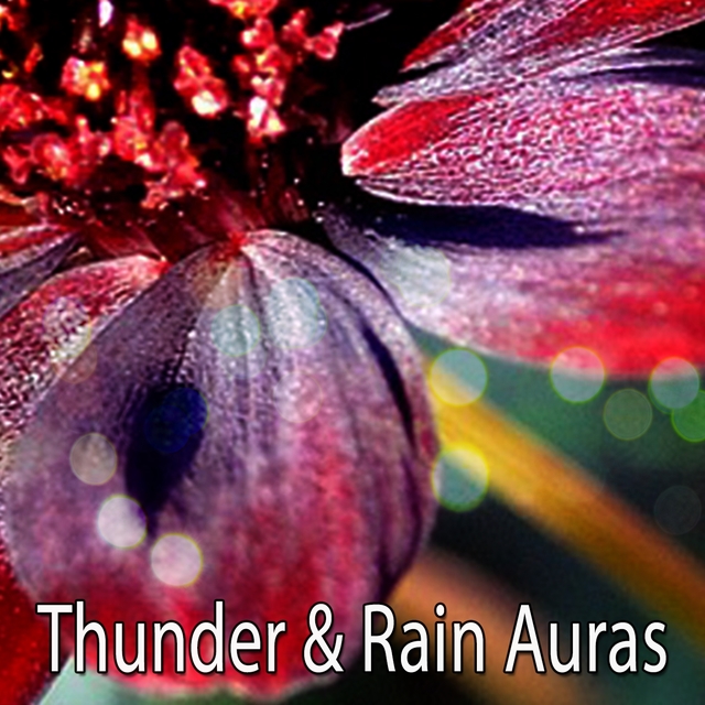 Couverture de Thunder & Rain Auras