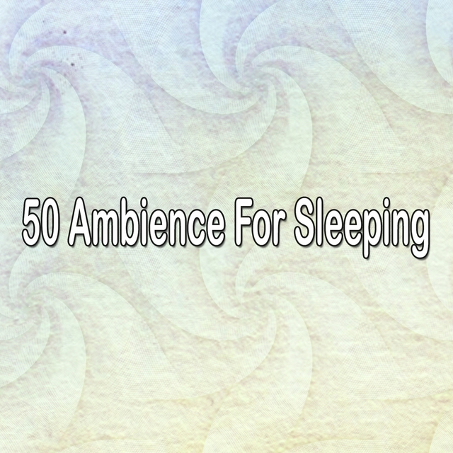 50 Ambience For Sleeping