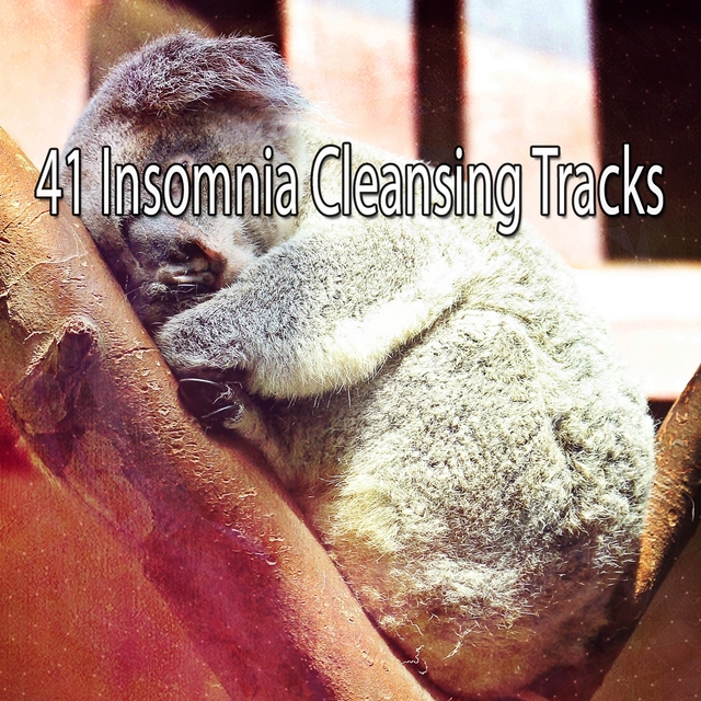 Couverture de 41 Insomnia Cleansing Tracks