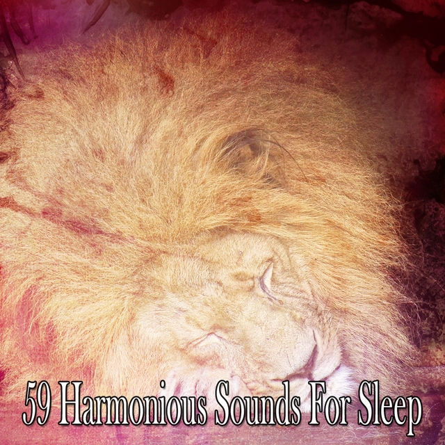 Couverture de 59 Harmonious Sounds For Sleep