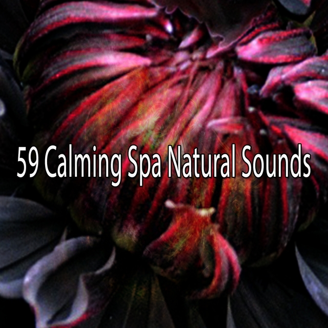 Couverture de 59 Calming Spa Natural Sounds