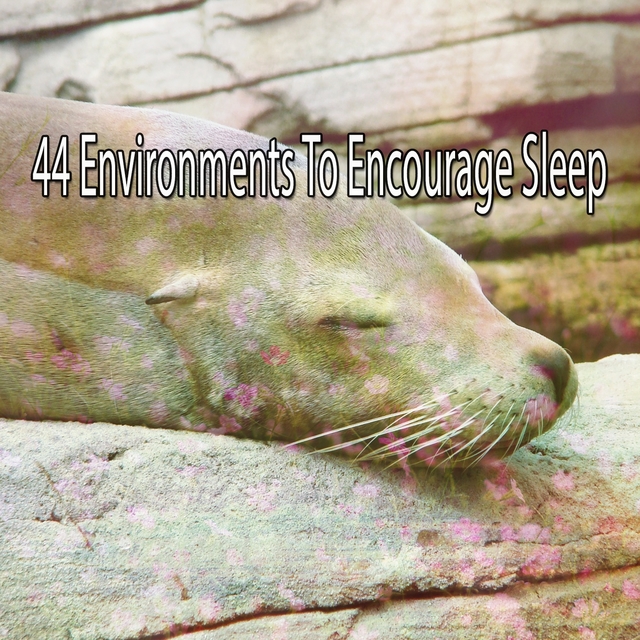 Couverture de 44 Environments To Encourage Sleep