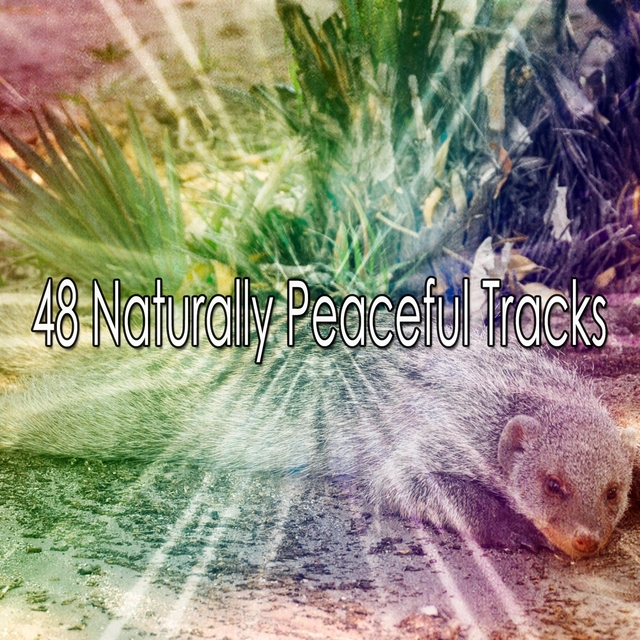 Couverture de 48 Naturally Peaceful Tracks