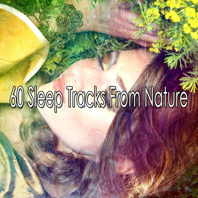 Couverture de 60 Sleep Tracks From Nature