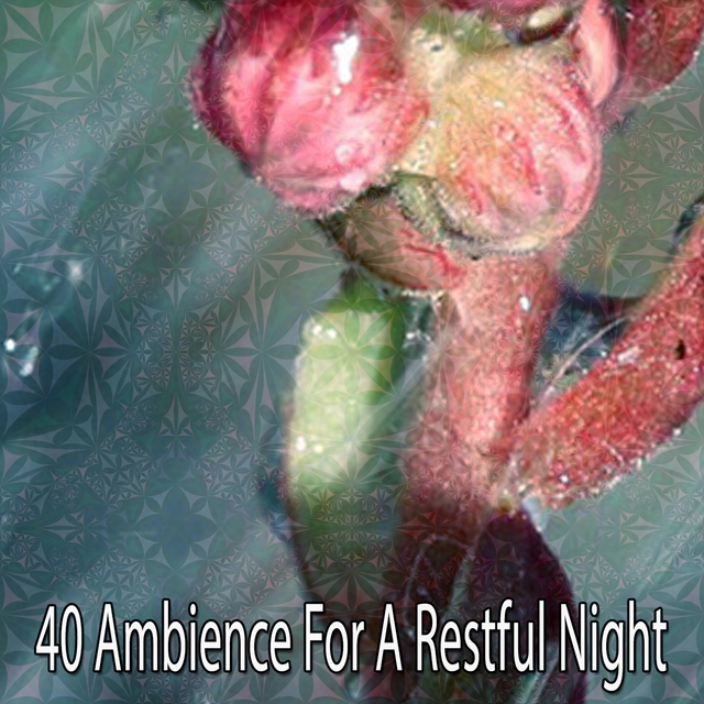 40 Ambience For A Restful Night