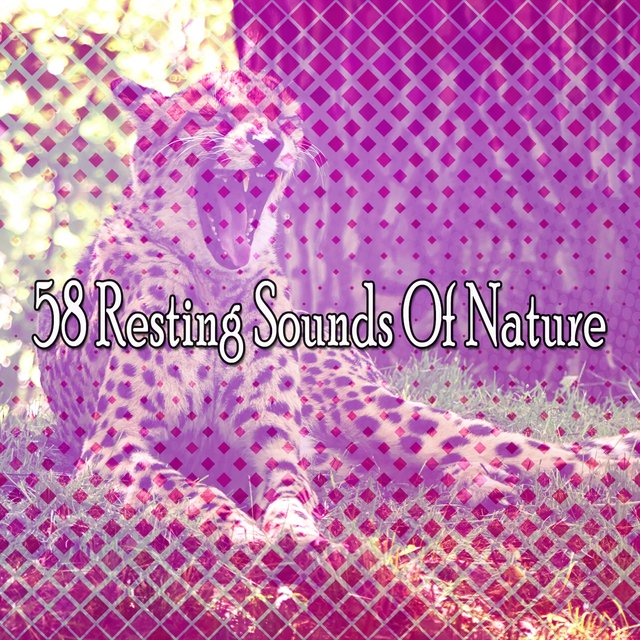 Couverture de 58 Resting Sounds Of Nature