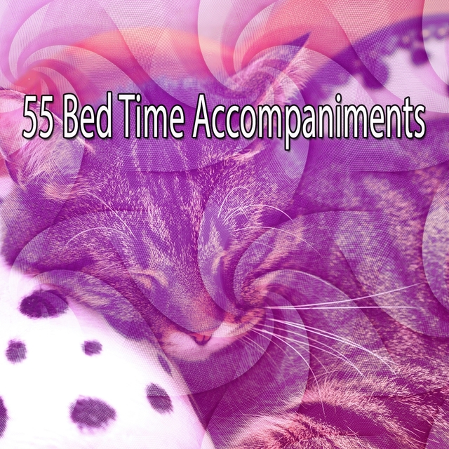 Couverture de 55 Bed Time Accompaniments