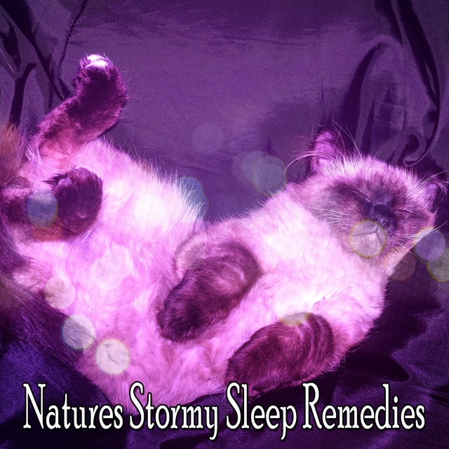 Natures Stormy Sleep Remedies