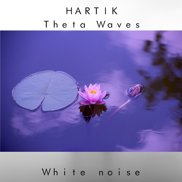 Theta Waves (the noise)