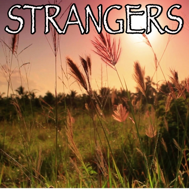Strangers - Tribute to Sigrid