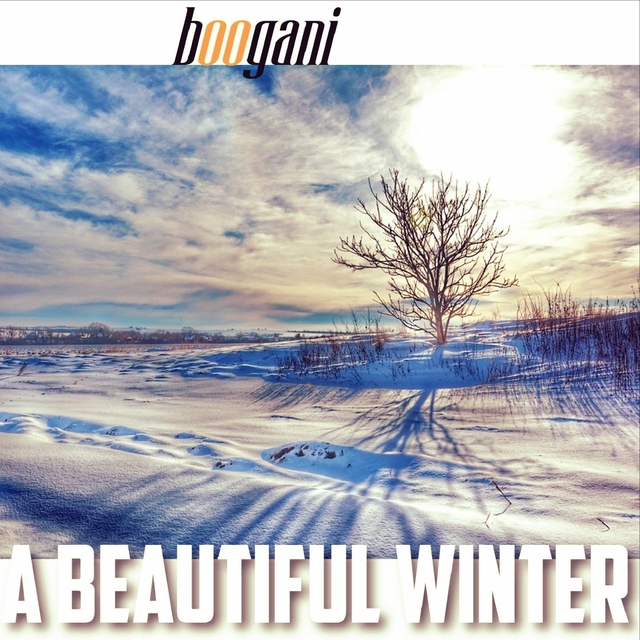 Couverture de A Beautiful Winter