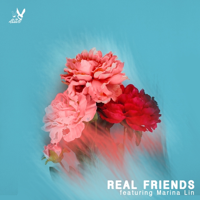 Couverture de Real Friends