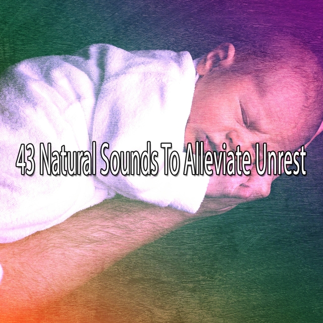 Couverture de 43 Natural Sounds To Alleviate Unrest