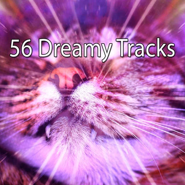 56 Dreamy Tracks