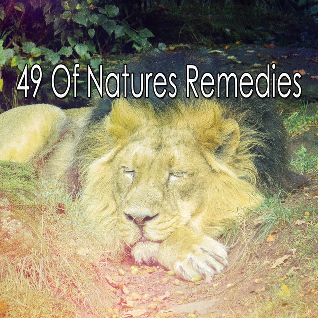 Couverture de 49 Of Natures Remedies