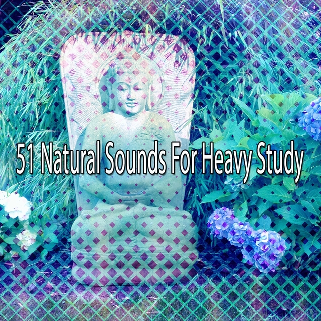 51 Natural Sounds For Heavy Study
