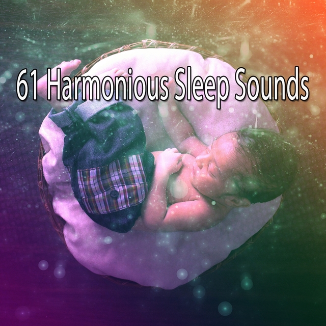 61 Harmonious Sleep Sounds